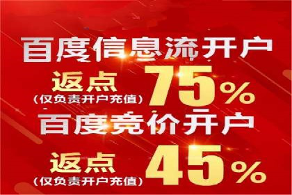 某公司SEO与SEM整合营销的全程记录